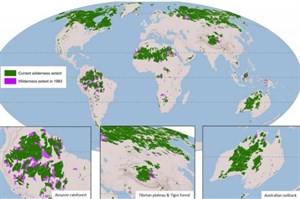 Bản đồ mới tiết lộ sự sụt giảm vùng hoang dã trên toàn cầu
