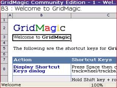 GridMagic