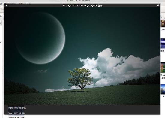 gloobus-preview-image