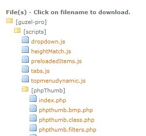 Wobzip - Download files