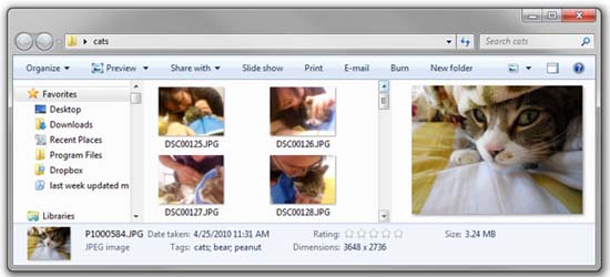 Windows 7 photo tagging; click for full-size image.