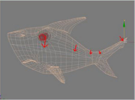 Hướng dẫn tạo mô hình cá mập theo kiểu animation