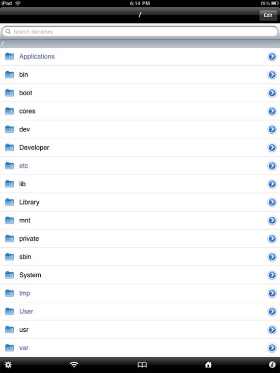 Browsing and editing in iFile