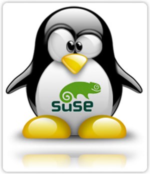 Hướng dẫn tích hợp XCache với PHP5 và Lighttpd trong OpenSUSE 11.2