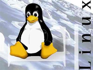 10+ sai lầm của người mới dùng Linux 