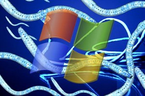 40 ứng dụng Windows chứa lỗi kỹ thuật nghiêm trọng