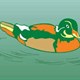 Corel Draw 12: Vẽ đàn vịt đang bơi