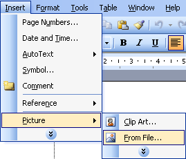 Insert / Picture / From file…