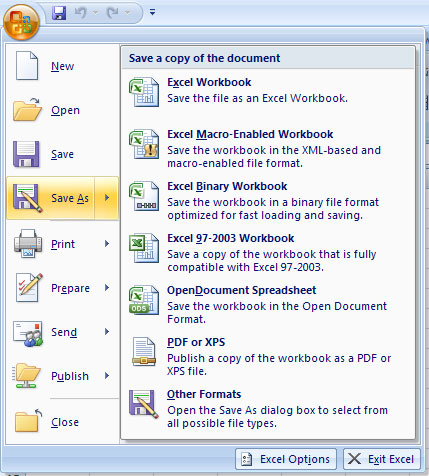 MS Excel 2007 - Bài 3: Làm việc với Workbook - Ảnh minh hoạ 3