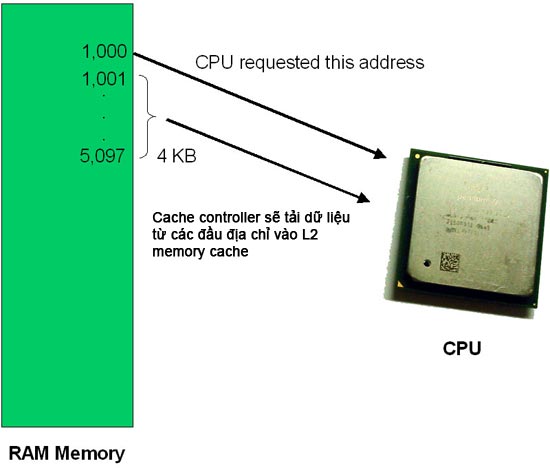 Memory cache controller làm việc như thế nào