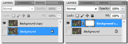 Hướng dẫn sử dụng Photoshop CS5 - Phần 10: Sử dụng Layer Mask và Vector Mask để xóa ảnh nền