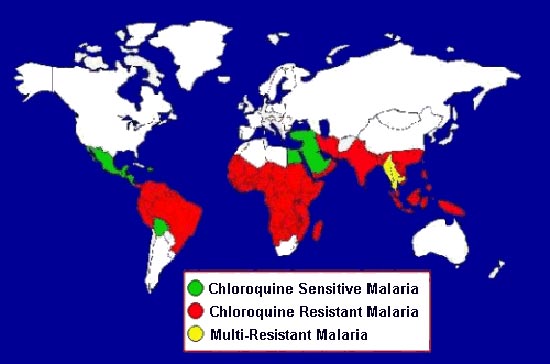 Bill Gates từ lâu đã ấp ủ ý định làm công tác từ thiện và ông đã thành công.