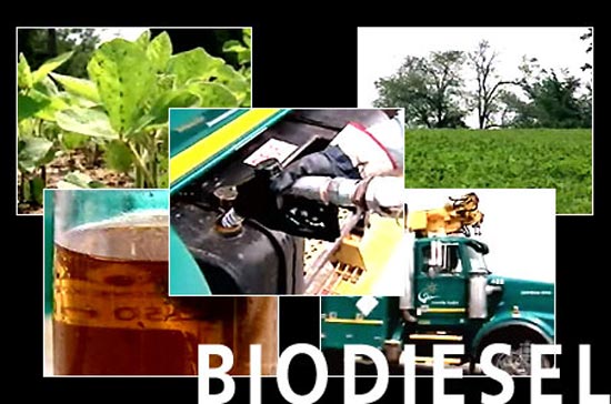 Bill Gates từ lâu đã ấp ủ ý định làm công tác từ thiện và ông đã thành công.