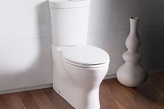 Bill Gates từ lâu đã ấp ủ ý định làm công tác từ thiện và ông đã thành công.