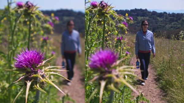 Toshiba phát triển camera smartphone giống Lytro Toshiba phát triển camera smartphone giống Lytro