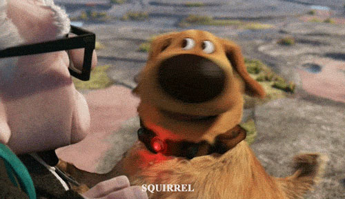 Ảnh hưởng của iPhone Những thứ bị iPhone khai tử trong 7 năm qua