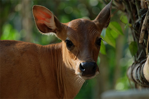 Một số ảnh chụp thử từ ống kính Fujinon XC 50-230mm II Một số ảnh chụp thử từ ống kính Fujinon XC 50-230mm II