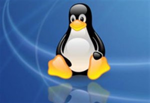 Nhân Linux "dính" lỗi chết người