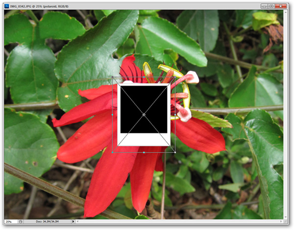 Hướng dẫn sử dụng Photoshop CS5 - Phần 17: Xử lý ảnh hàng loạt với Photoshop Actions