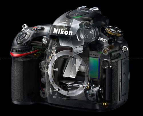 Nikon D800 mang cảm biến full-frame độ phân giải siêu lớn.