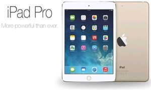 Sẽ không có iPad Pro và iPad mini 3 trong năm nay