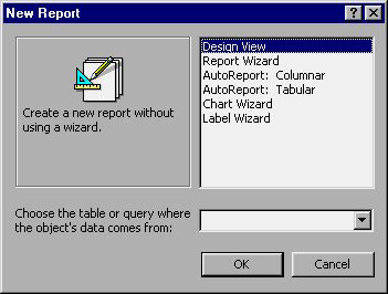 MS Access 2003 - Bài 32: Sử dụng Report Wizards khác