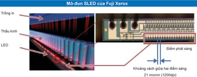 Fuji Xerox kỳ vọng tăng trưởng hai con số 