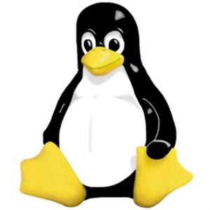 5 biện pháp giúp tăng tốc độ khởi động của Linux