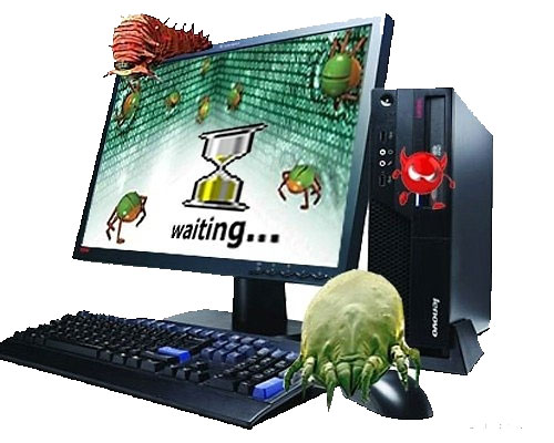Tháng 2/2013 đã có 2.980 dòng virus máy tính mới xuất hiện tại Việt Nam. Xuất hiện gần 3.000 dòng virus máy tính mới ở VN