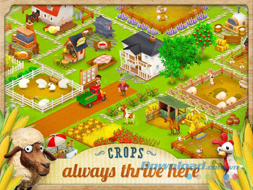 Hay Day cho Android