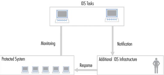 IDS là hệ thống gì Cách thiết kế IDS trong mô hình mạng doanh nghiệp