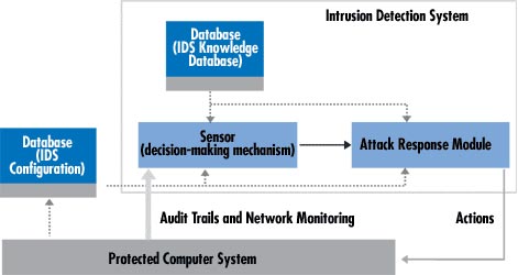 Hệ thống phát hiện xâm nhập IDS là gì