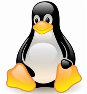 Linux ra bản nâng cấp kernel