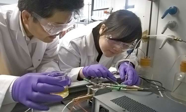 chip pin nhiên liệu đã được khai sáng 