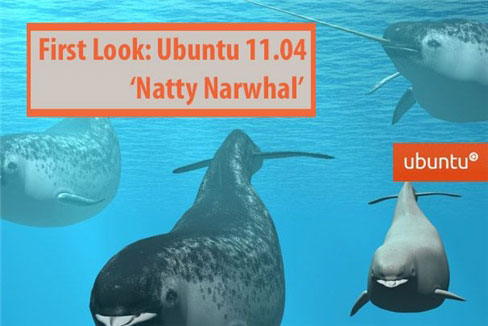Ubuntu 11.04 'Natty Narwhal': những hình ảnh đầu tiên