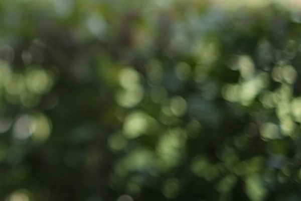 Fujifilm X-Pro1 đọ ảnh nhanh với Leica M9