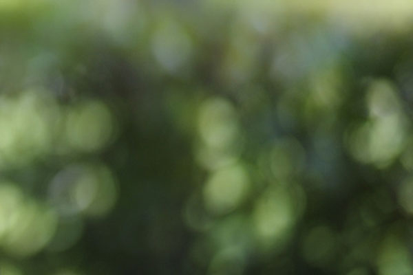 Fujifilm X-Pro1 đọ ảnh nhanh với Leica M9