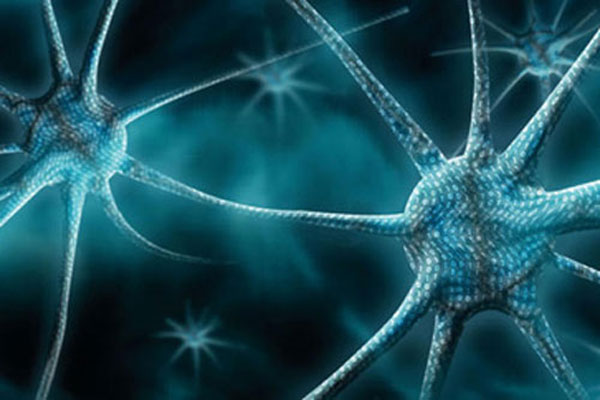 Giảm hơn một nửa số lượng máy tính nhiễm mã độc Flashback