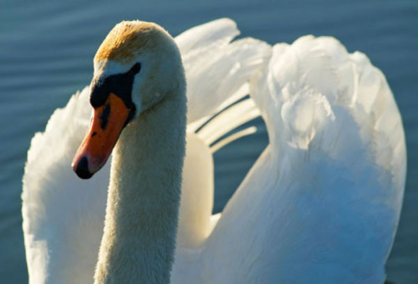 10 kỹ thuật sáng tạo ảnh với nước