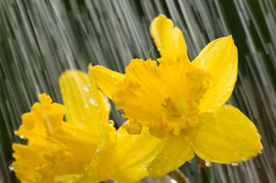 10 kỹ thuật sáng tạo ảnh với nước