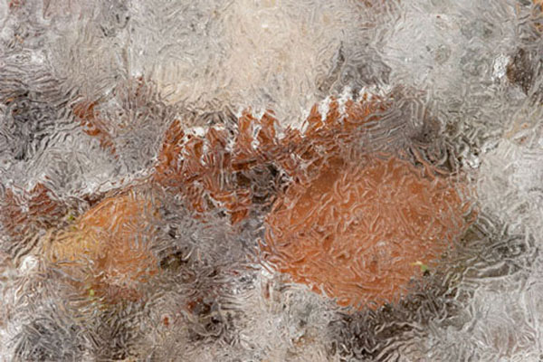 10 kỹ thuật sáng tạo ảnh với nước