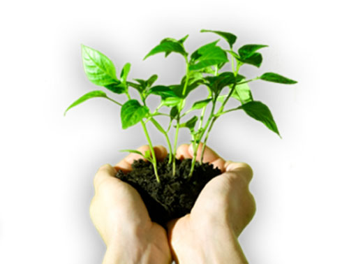 Những quy tắc quản trị của Mark Zuckerberg khiến cộng sự phải “tâm phục”