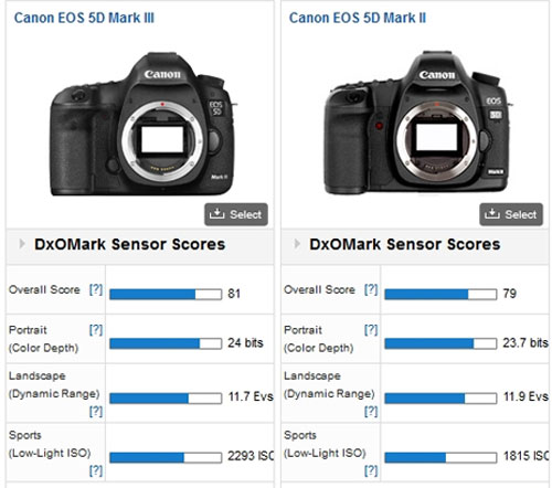 Điểm cảm biến D800 vượt trội so với 5D Mark III
