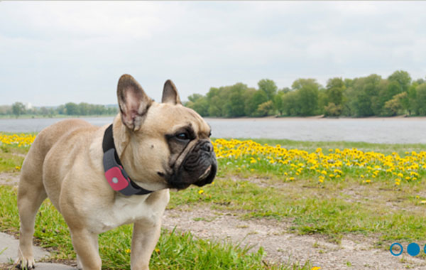 Loạt phụ kiện siêu độc đáo và hữu ích cho iPhone, iPad