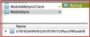 Sao lưu và đọc tin nhắn của iPhone trên Windows và Mac