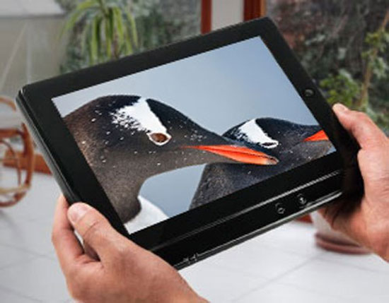 Màn hình 10 inch. Thiết bị biến điện thoại thành máy tính bảng