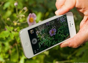 iPhone 5S sẽ có máy ảnh 12 megapixel?
