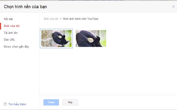 Tùy chỉnh hình nền 10 mẹo nhỏ giúp bạn hoàn toàn làm chủ Gmail