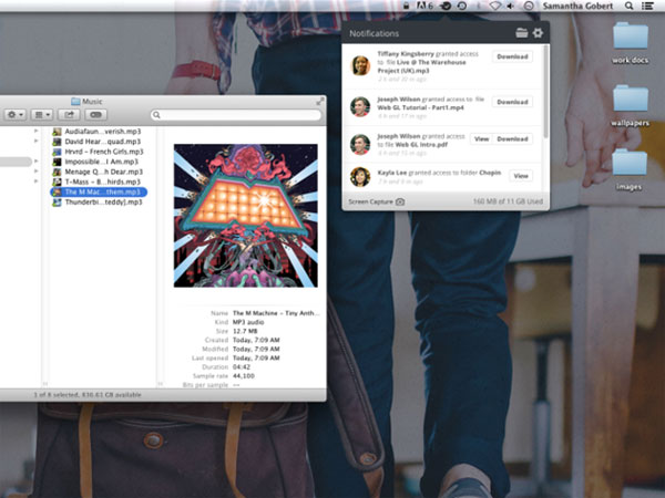 MediaFire "phả hơi nóng" vào Google với dịch vụ lưu trữ siêu rẻ