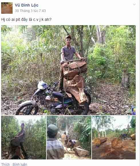 Lâm tặc chụp ảnh "tự sướng" và rao bán gỗ lậu trên Facebook Lâm tặc chụp ảnh "tự sướng" và rao bán gỗ lậu trên Facebook